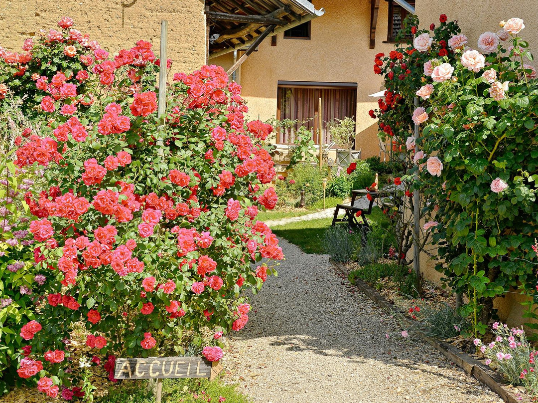 La Trancoulette主图