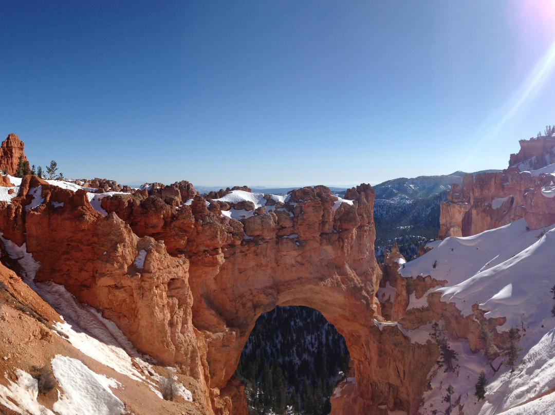 Natural Bridge-布莱斯必去景点