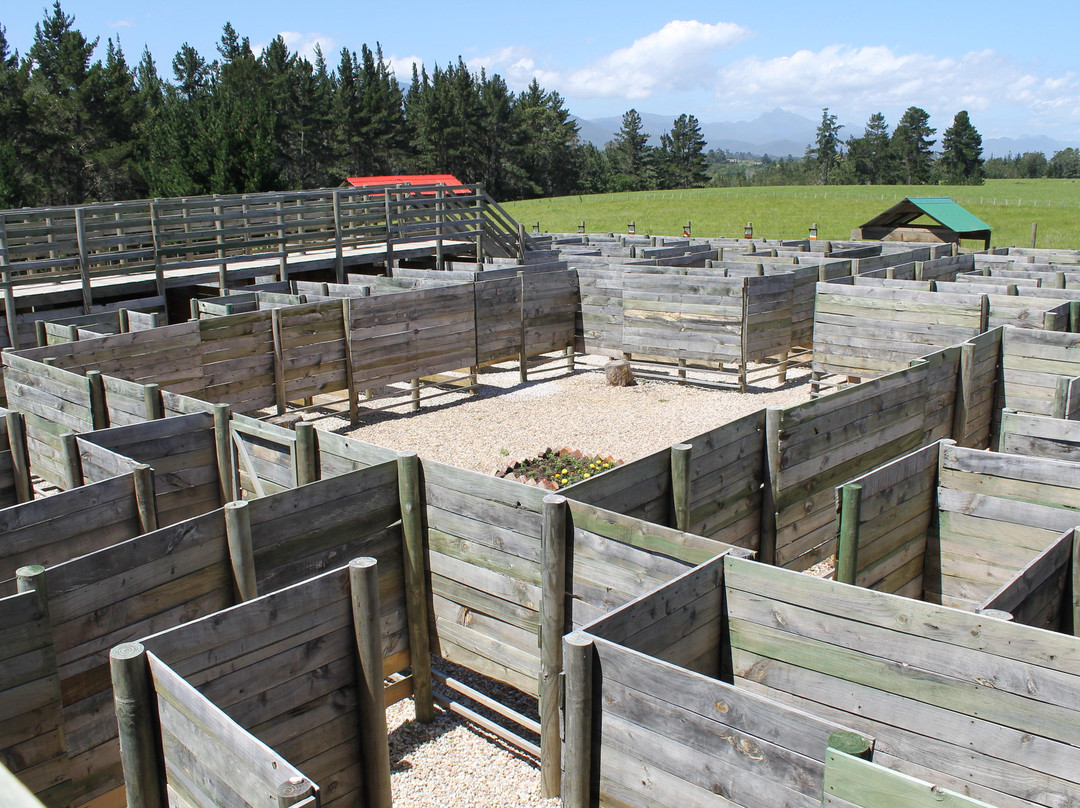 Puzzle Park SA-普利登堡湾必去景点