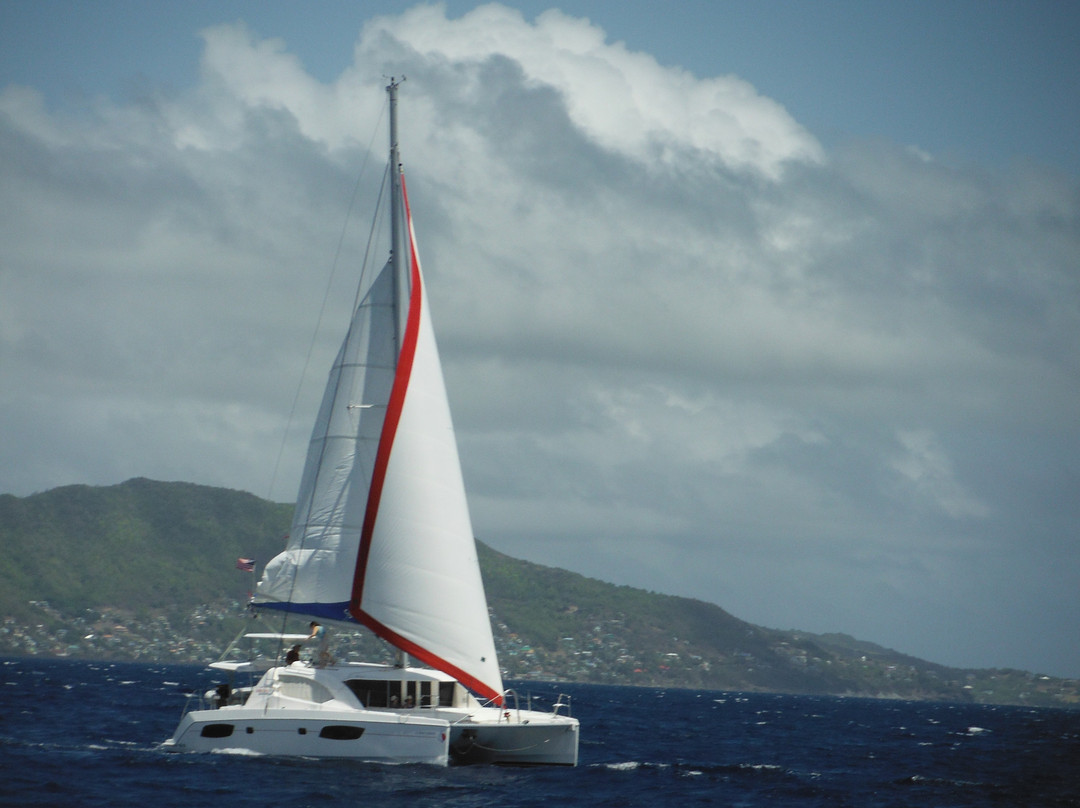 LTD Sailing景点图片