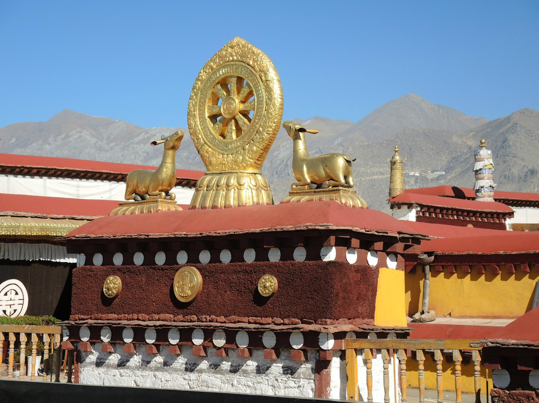 拉萨大昭寺景点图片