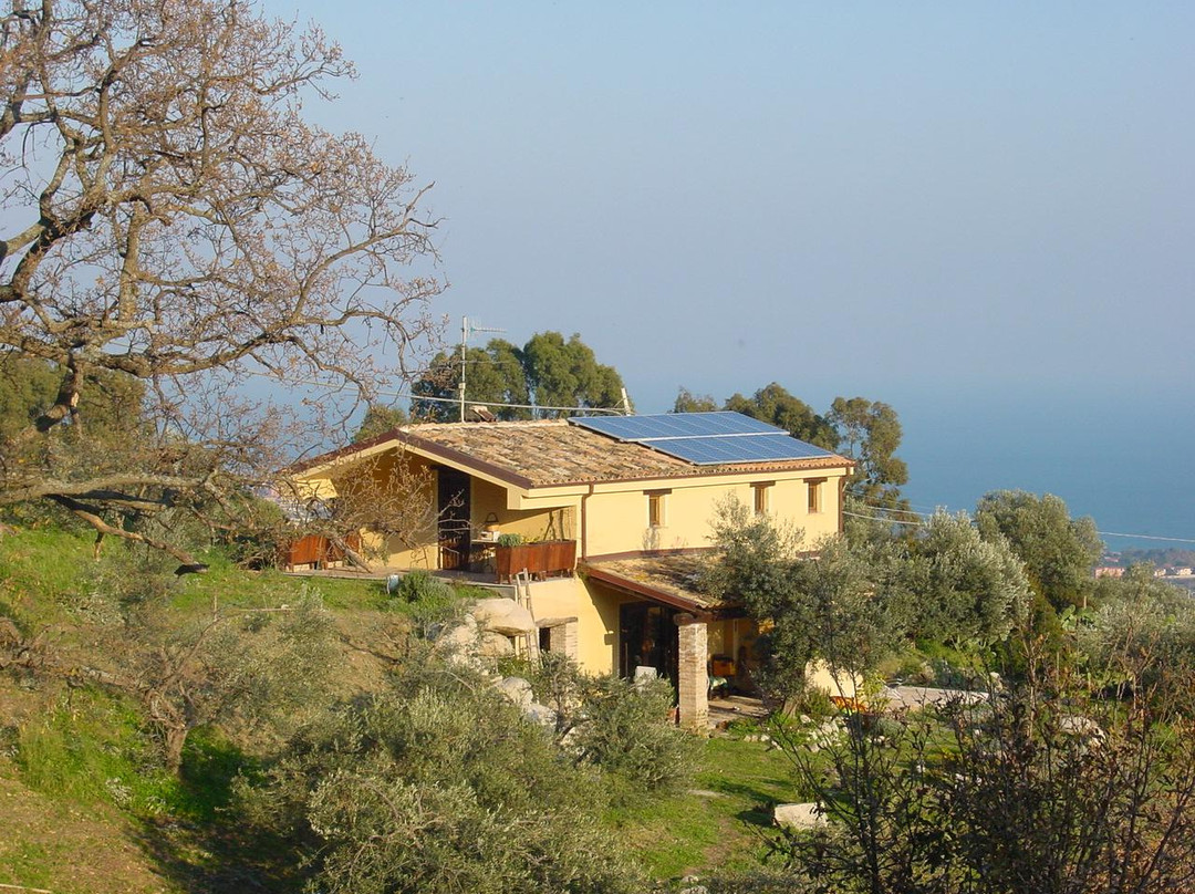 Fondaco del Fico主图