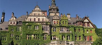 Orangerie und Schloss Ramholz景点图片