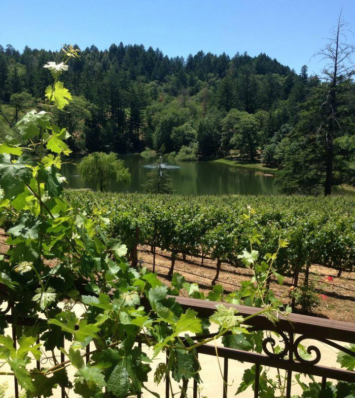 Sherwin Family Vineyards-圣海伦娜必去景点