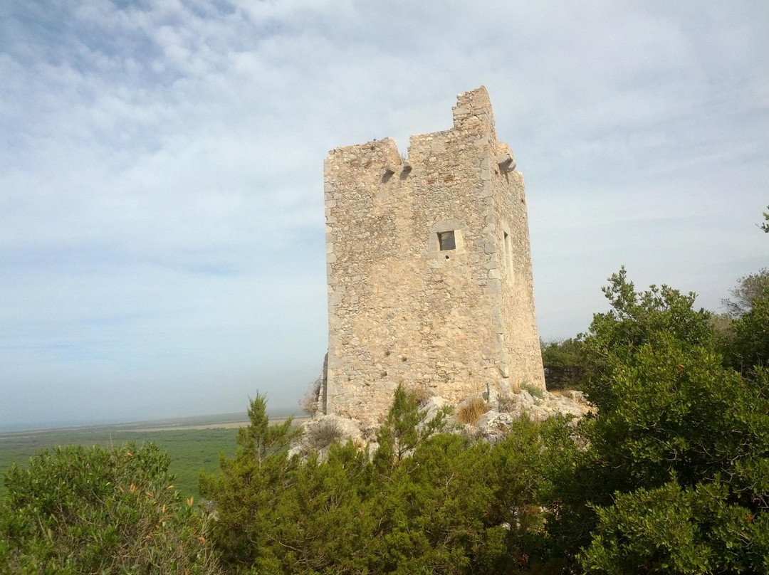 Parco Naturale della Maremma景点图片