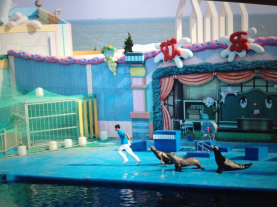 极地海洋世界-青岛市必去景点