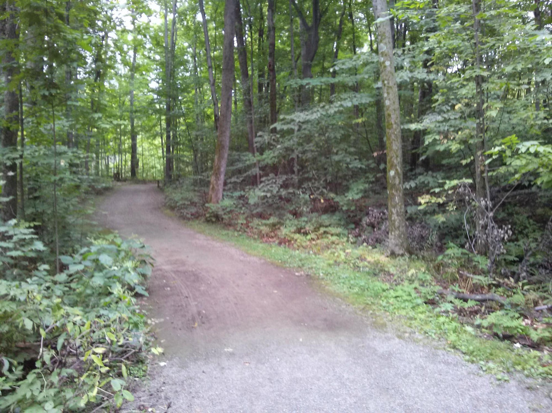 Parc-Nature-du-Bois-de-l'île-Bizard-蒙特利尔必去景点