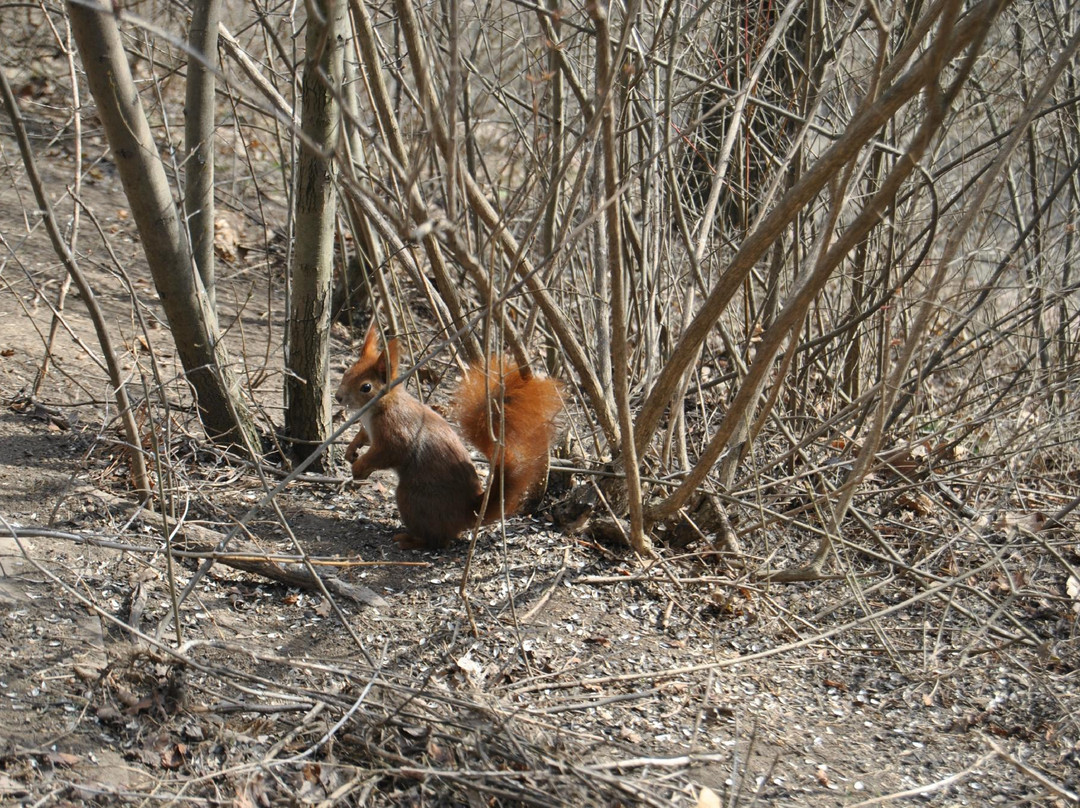 莱特纳公园-布拉格必去景点