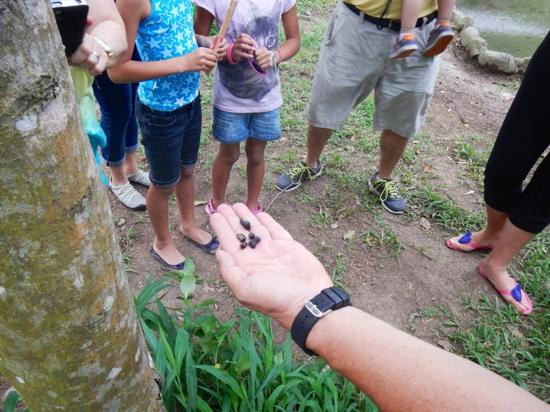 Tibes Indigenous Ceremonial Center-庞塞必去景点