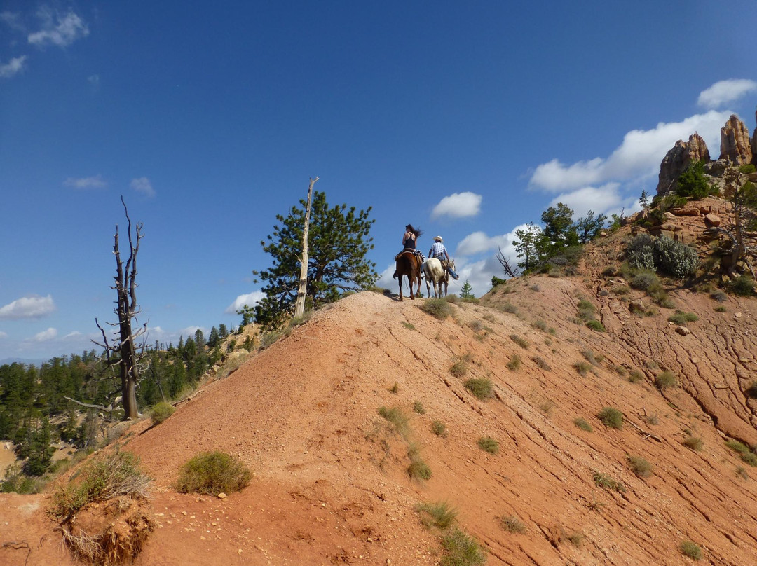 Mecham Outfitters-特罗皮克必去景点