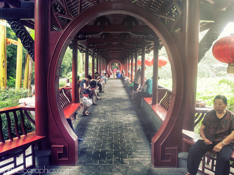 Chengdu Tour Guide Haba-成都必去景点
