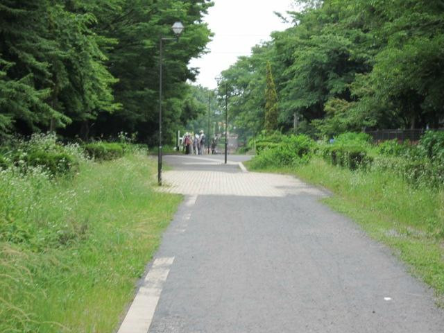 Yokohama Suidomichi Ryokudo-相模原市必去景点