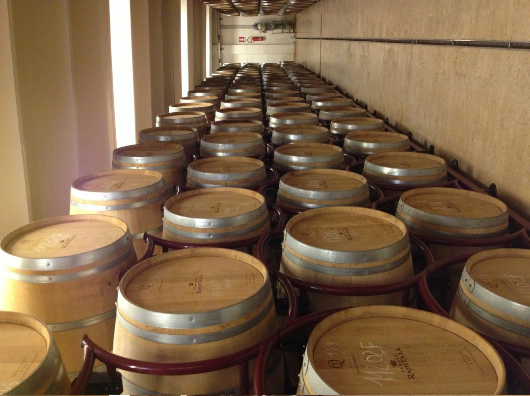 Tenuta Rapitala Winery景点图片