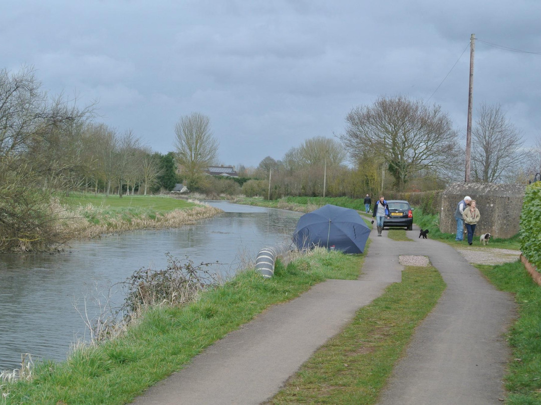 Somerset Towpath-汤顿必去景点