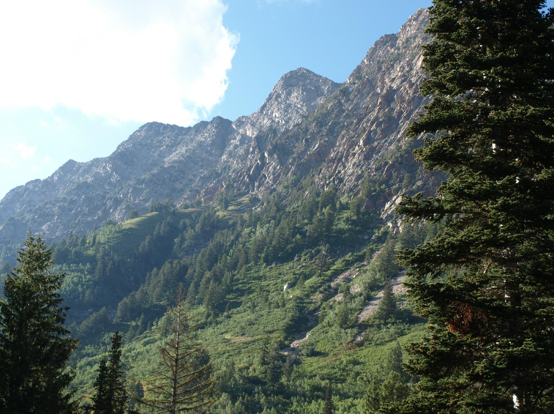 Snowbird-布莱敦必去景点