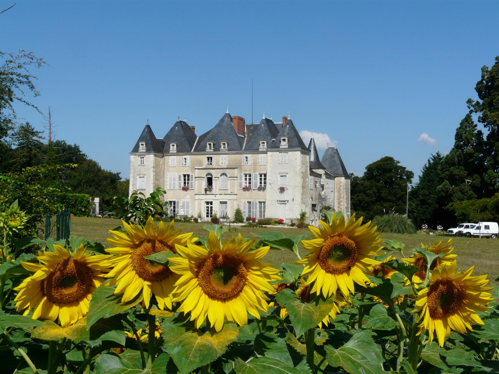 Chateau de Piolant-官方
