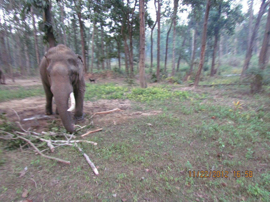 Achanakmar Wildlife Sanctuary景点图片