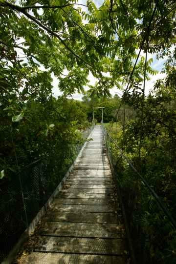 Te Popo Gardens景点图片