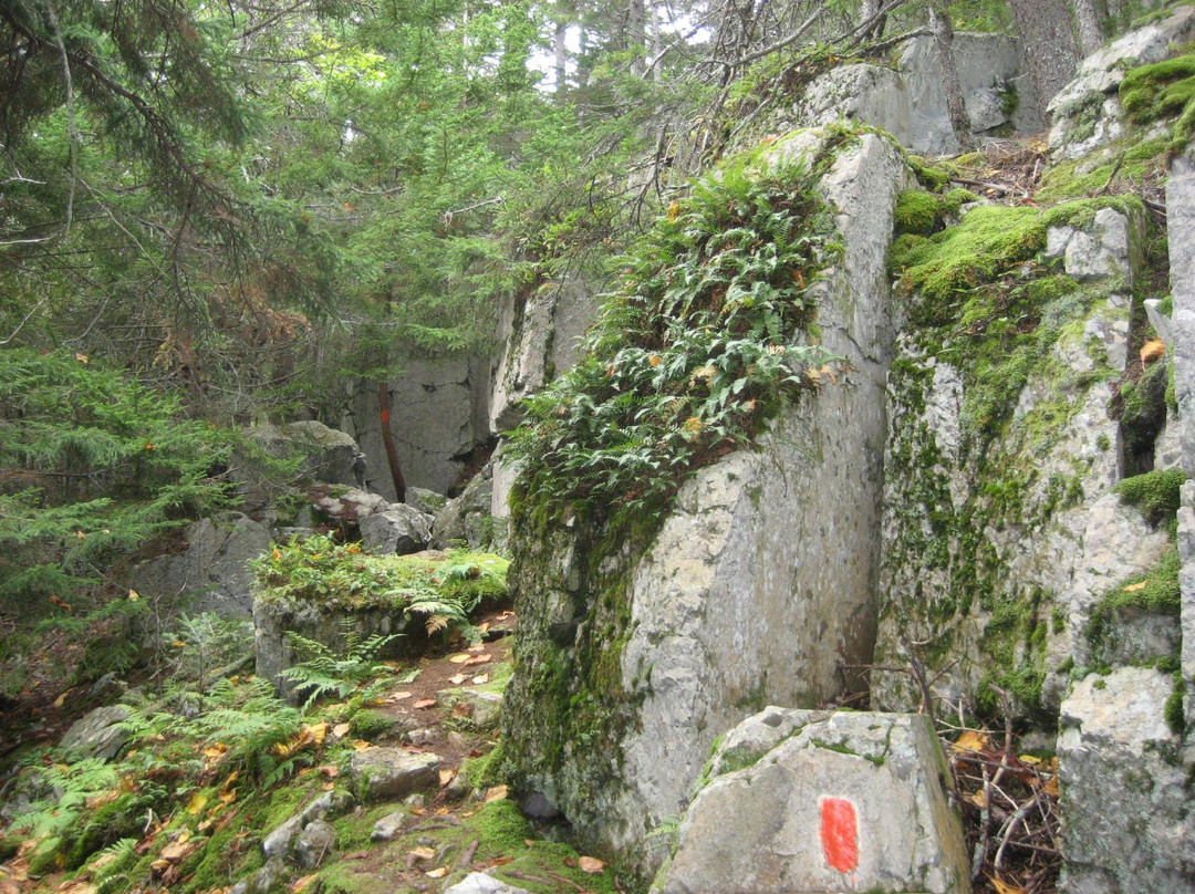 Holbrook Island Sanctuary景点图片