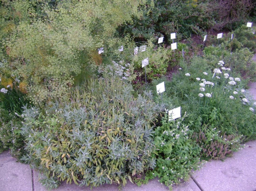 4-H Children's Garden景点图片
