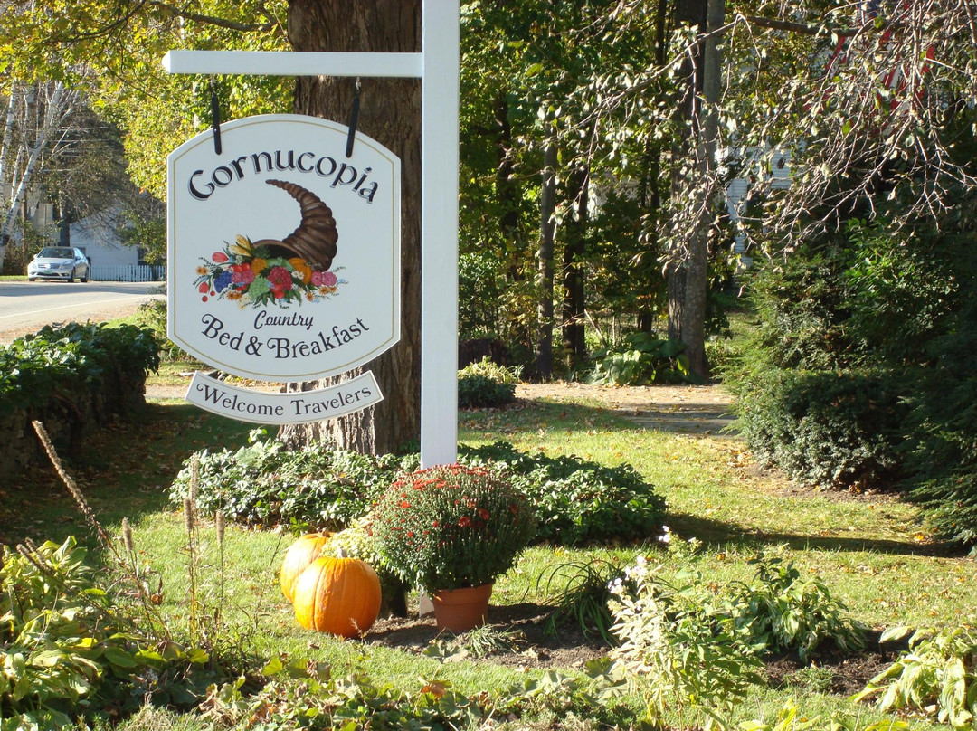The Cornucopia Bed & Breakfast主图