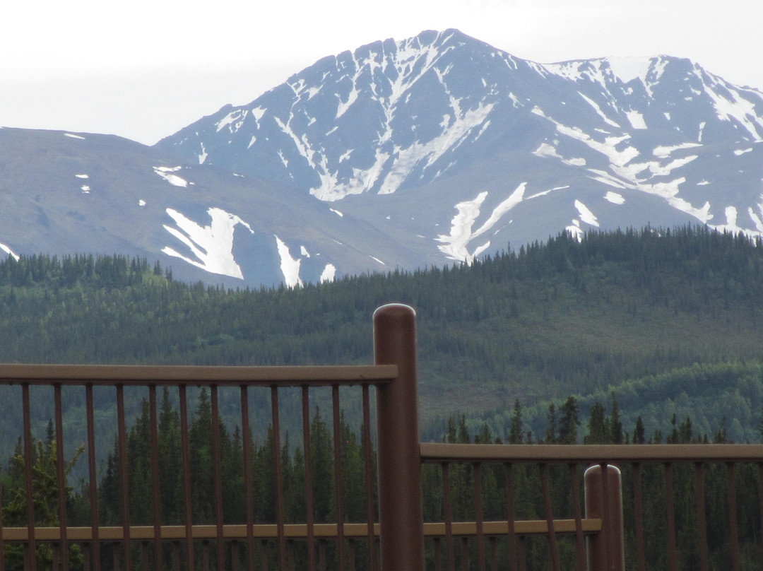 Grand Denali Tour景点图片