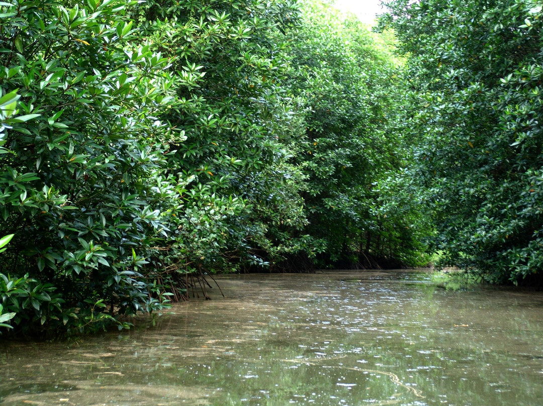 Vam Sat Salt-Marsh Forest Ecological Tourist Center-胡志明市必去景点