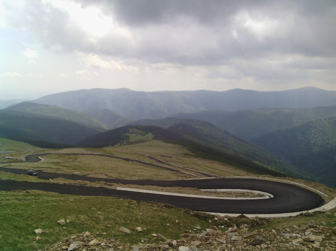 Transalpina景点图片