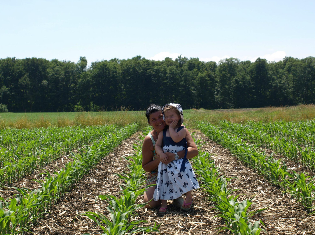 Verger La Magie De La Pomme-Saint-Eustache必去景点
