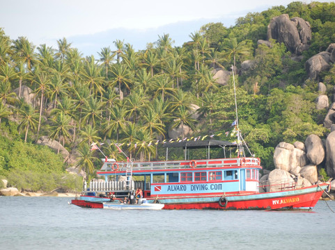Alvaro Diving-涛岛必去景点