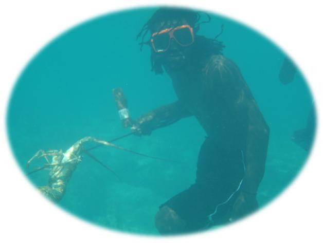 Provo Real Deal Day Tours-Turtle Cove必去景点