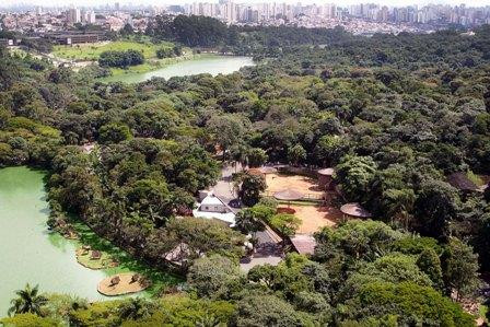 Zoologico de Sao Paulo景点图片