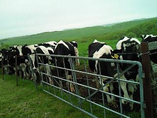 标茶町多和平-标茶町必去景点