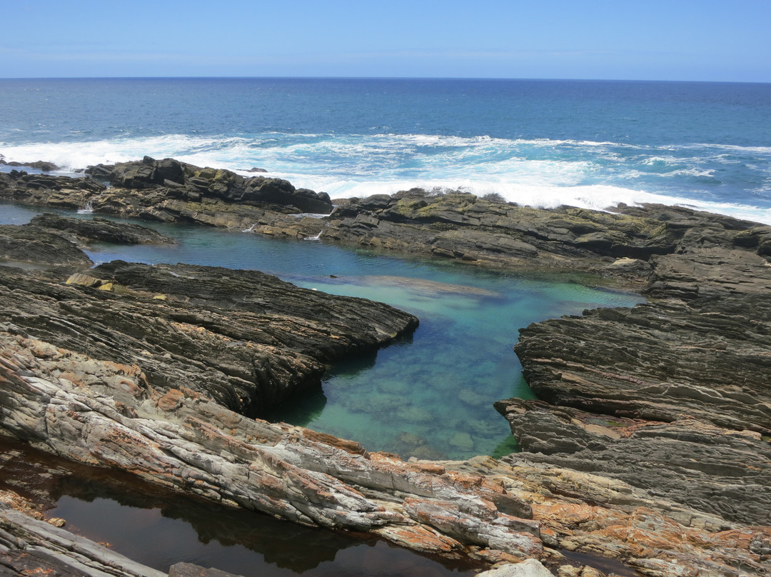 The Dolphin Trail-暴风河必去景点