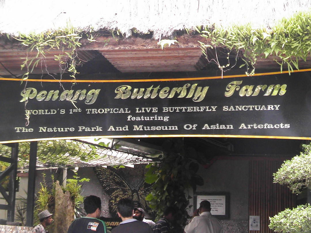 蟲鳴大地-巴巷海滩必去景点