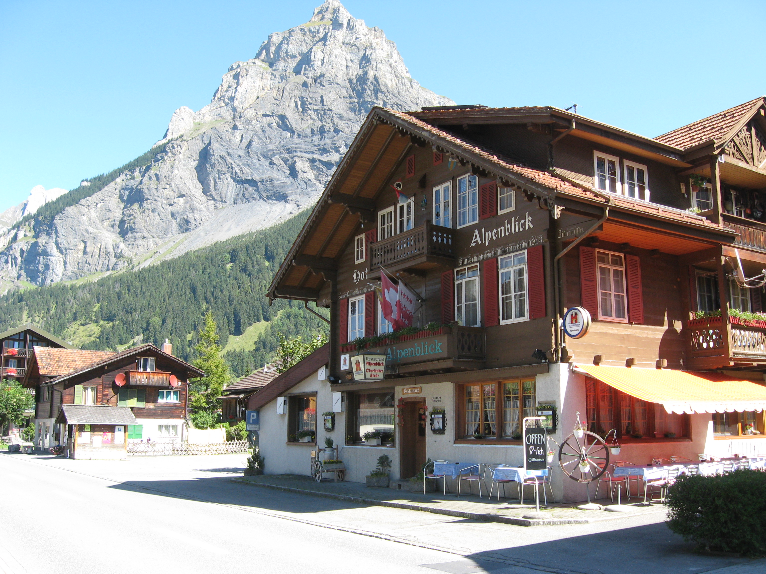 Hotel Alpenblick-酒店景观