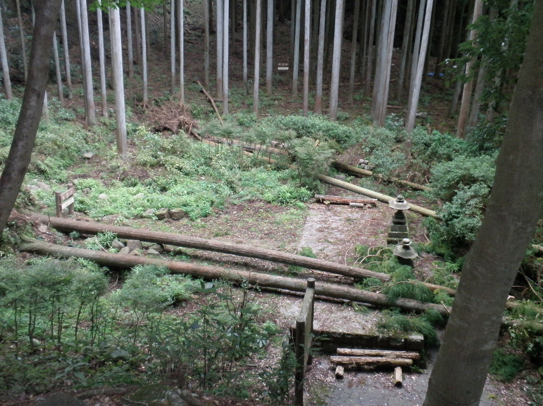 Johotsugan-ji Temple Okunoin景点图片