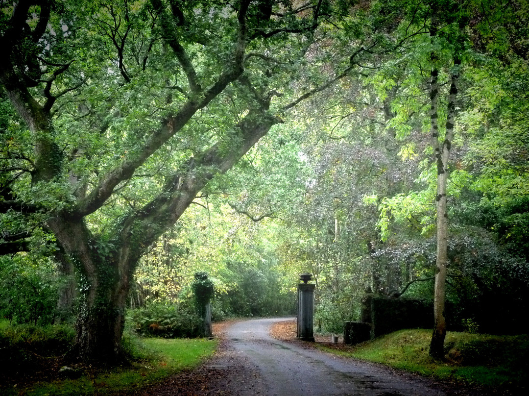 Charleville Castle-Tullamore必去景点