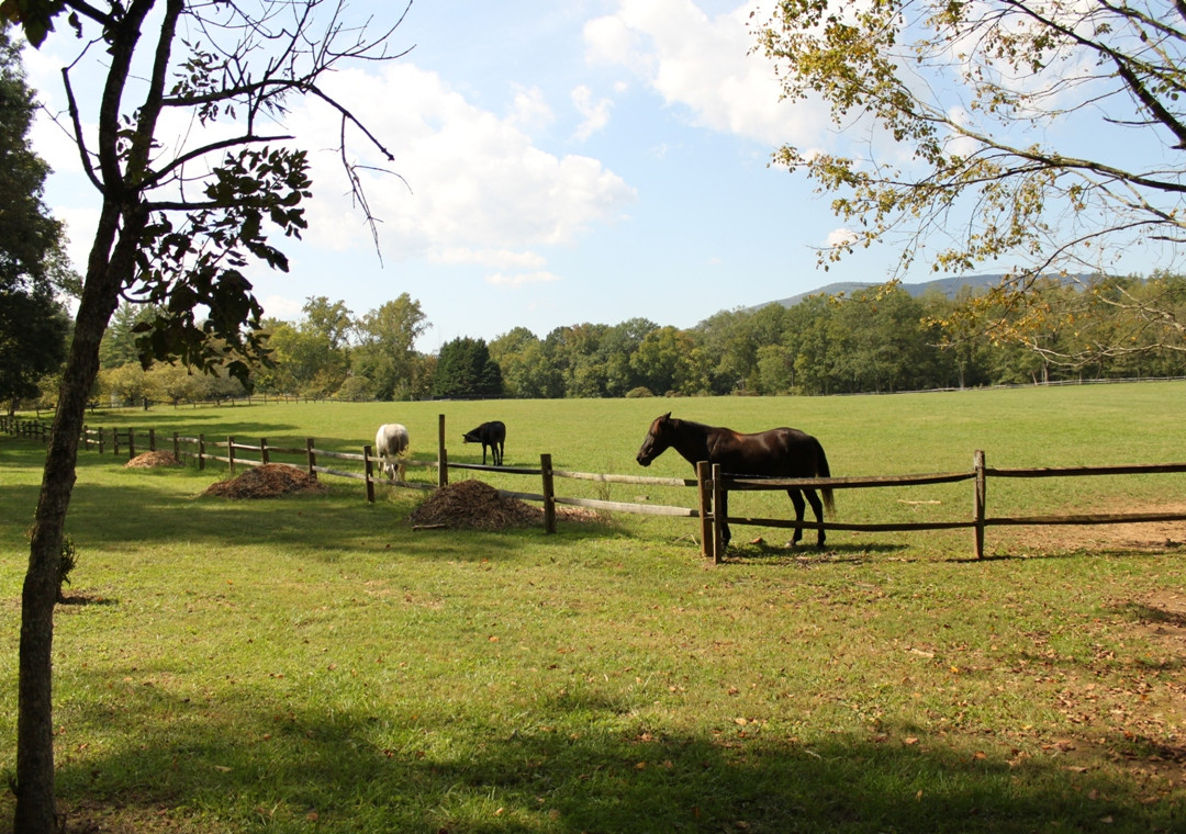 Reflection Riding Arboretum & Nature Center-查塔努加必去景点