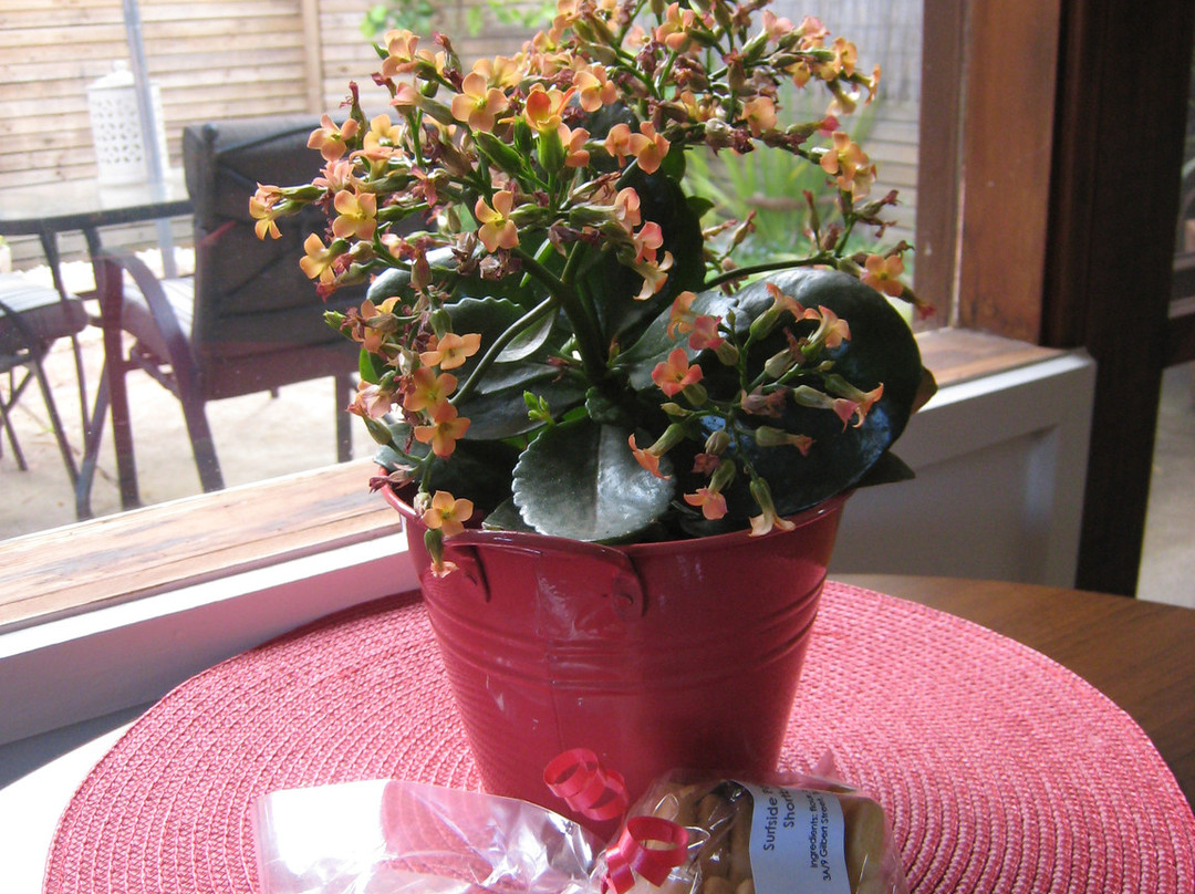 Torquay Toongahra BnB主图