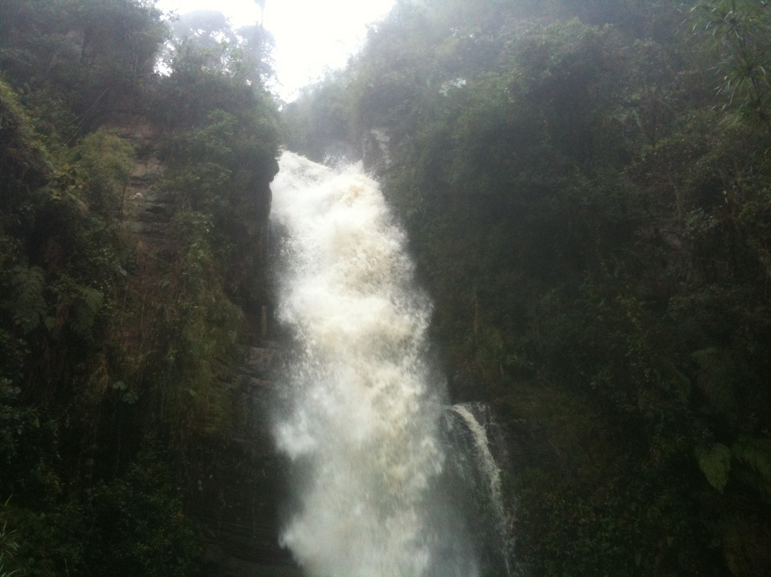 Cascada La Chorrera景点图片