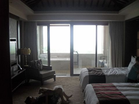 无锡太悦度假酒店(拈花湾灵山大佛店）-浴室