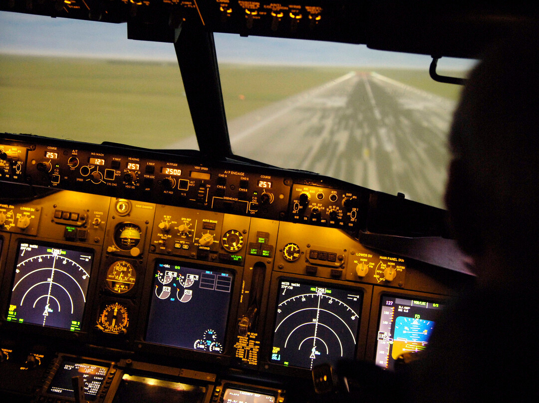 Virtual Aviation景点图片