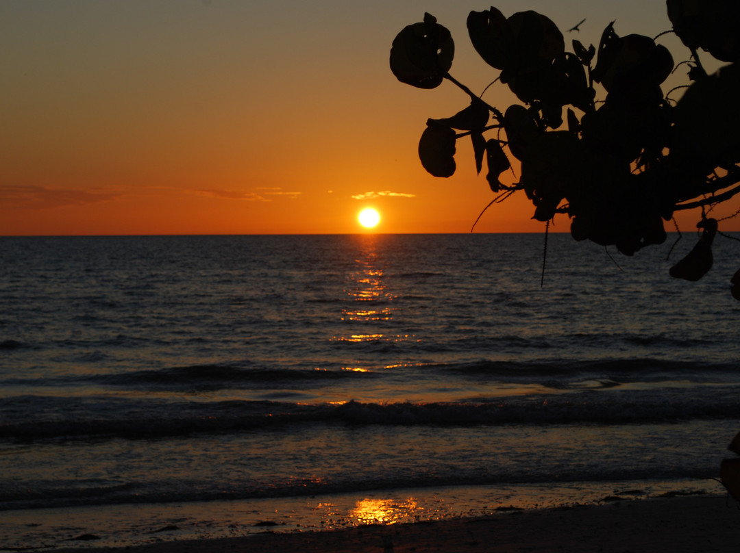 Caladesi Island State Park-达尼丁必去景点
