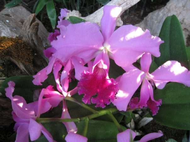 爬虫公园-拉皮德城必去景点