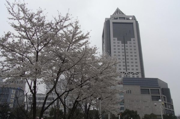 镇江国际雷迪森广场酒店主图