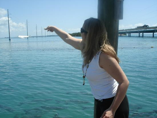 Robbie's of Islamorada-伊斯拉摩拉达必去景点