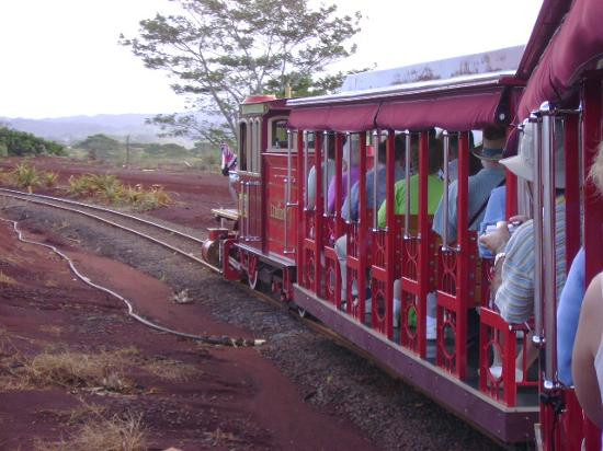 杜尔凤梨园-瓦西瓦必去景点