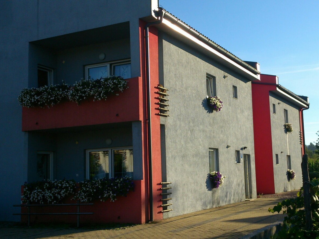 亚帕特曼尼德拉吉奇酒店