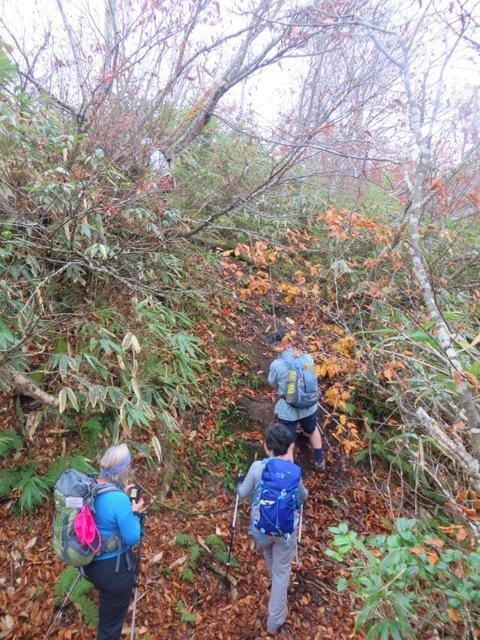 Shinetsu Trail-饭山市必去景点